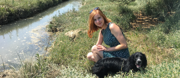 foraging